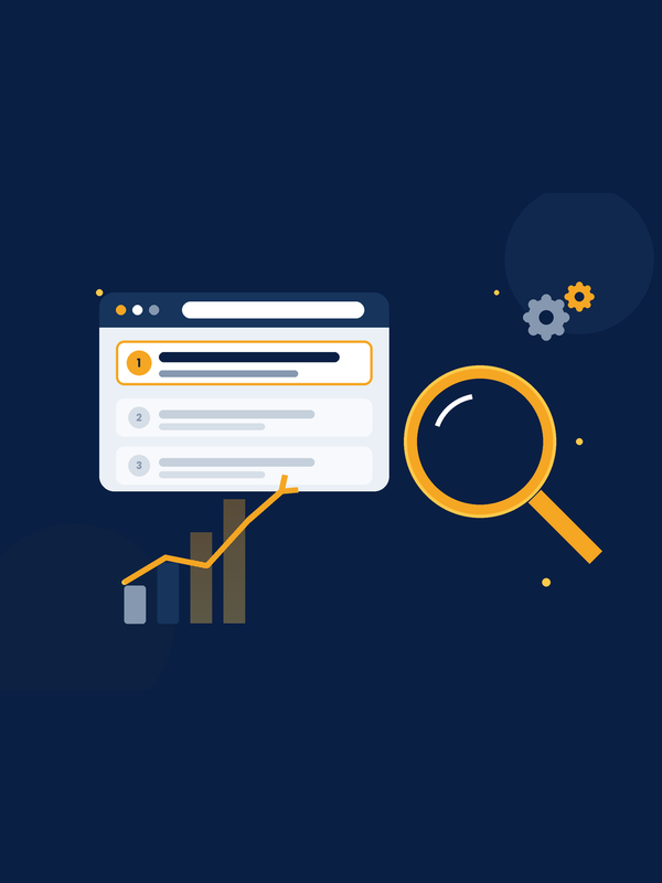 pavidigi seo 600x800